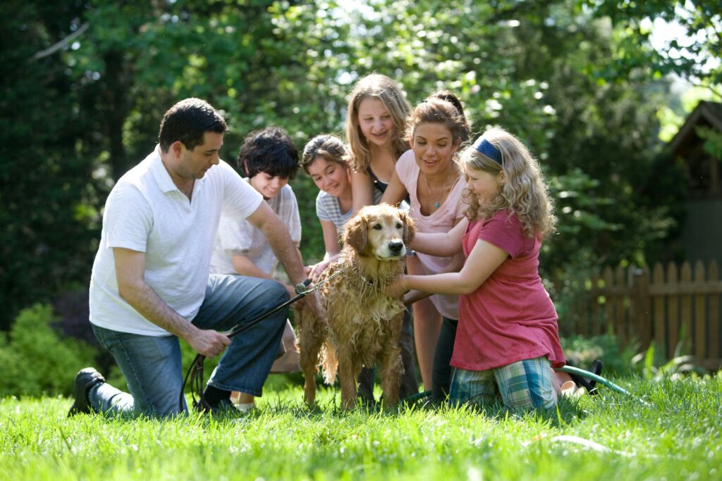 Whole Life Insurance as a Savings Tool: The Cash Value Advantage
